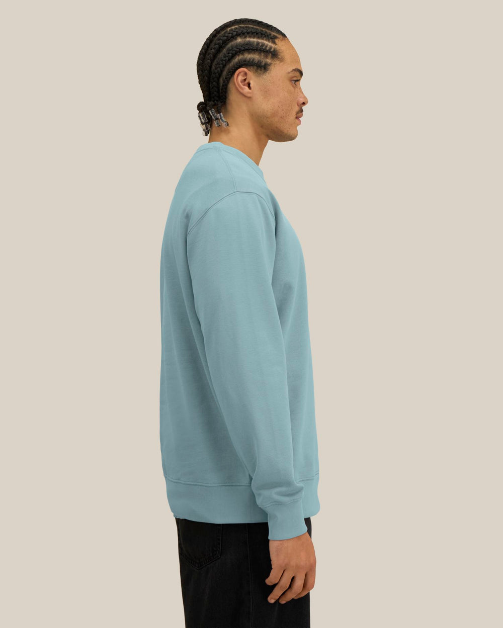 stst:sfm4_stsu178_c173.jpg